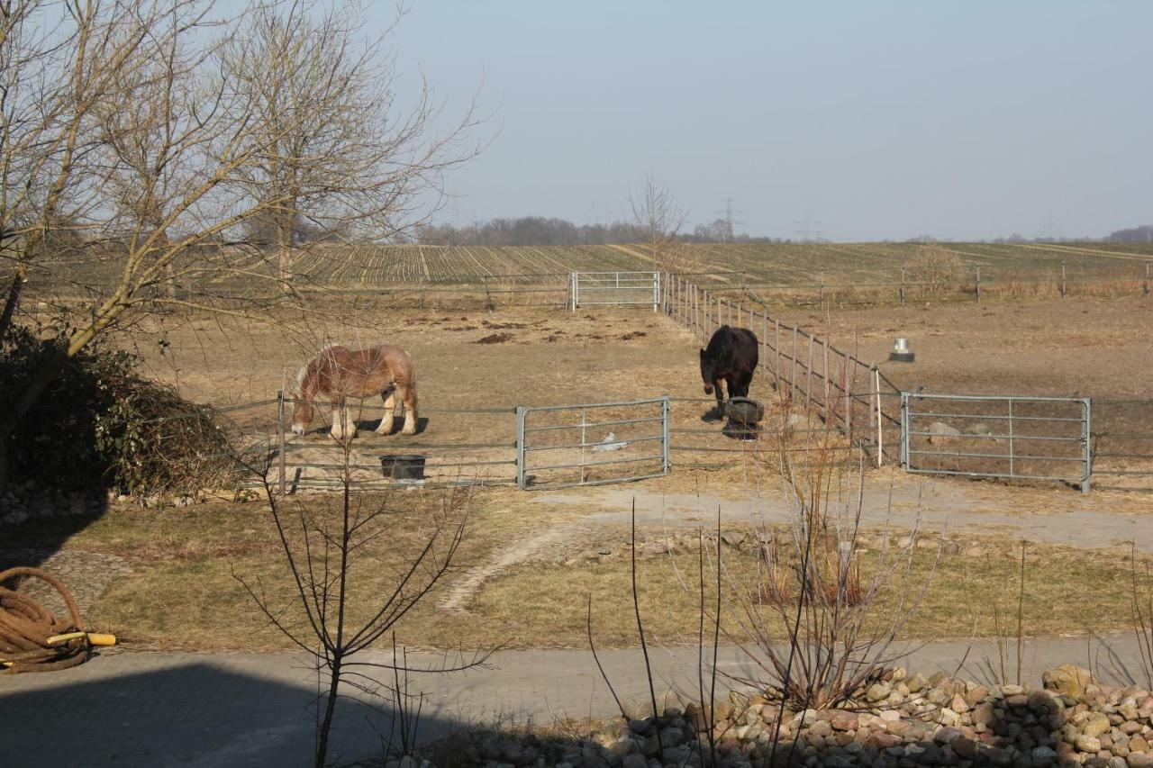 Ferienwohnung Pusteblume Steinhofel Luaran gambar